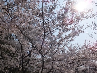 DSCF4834-2.jpg