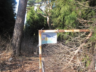 鯨峠-80.jpg
