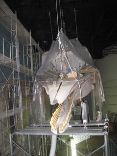 IMG_3673-2.JPG