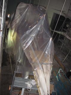 IMG_3674-3.JPG