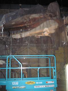 IMG_3683-6.JPG