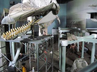 IMG_S̑-2.JPG